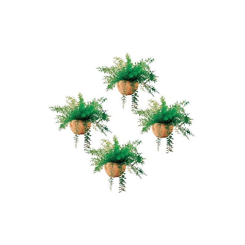 Miles Kimball Mysterious Air Fern, Set of 4 – Water