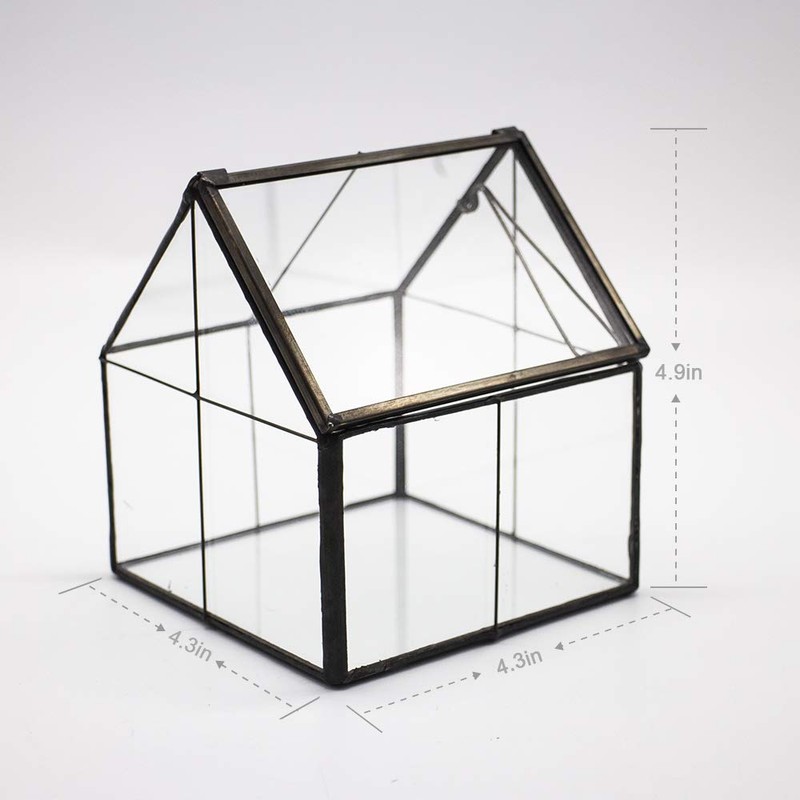 Ferrisland Glass Plant Terrarium Container Wardian Case Indoor Small Succulent