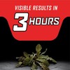 Ortho GroundClear Year Long Vegetation Killer Refill, Kills and Prevents