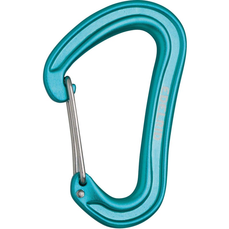 Edelrid Nineteen G Carabiner, Karabiner Nineteen G, Icemint