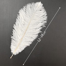 10Pcs Bulk Natural White Ostrich Feathers,12-14 inch (30-35cm) Beautiful Long Feather for Crafts,Wedding Centerpieces Party Home Decoration,Dress and Christmas DIY (White, 12-14in)
