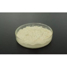 seanexpert Chitosan Powder, 90+% (Deactetylated