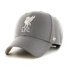 47 FC Liverpool Dark Grey EPL Ballpark Most Value P.