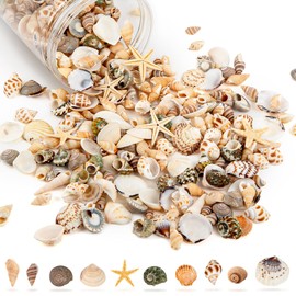 Tiny Sea Shells & 6 Starfish Decor Mixed Ocean Beach Spiral Seashells for Home Decor, Wedding,Decor, Beach Decor, Vase Filler, Ocean Theme Decor,Fish Tank, Making DIY Ornaments
