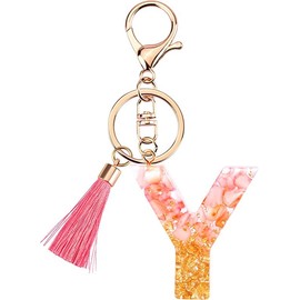 Rohans Pink and Gold Resin Alphabet Initial Letter Keychain, Bag Charm, Key Ring with Lobster Clasp (Y)