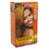 Creme Of Nature Color C41 Honey Blonde Kit (2 Pack)