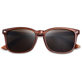 OPTOFENDY Reader Sunglasses for Women Men, Full Lens Outdoor Reading Sunglasses with Spring Hinge, UV400 Protection, Brown 2.5