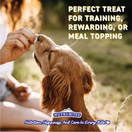 Nutri Bites Freeze Dried Salmon Treats for Dogs and Cats 14 Ounce Natural High Protein