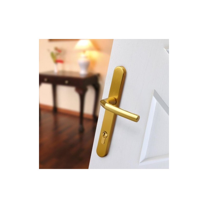Hoppe Gold 'Birmingham' Pair Handle 92PZ or 92mm Sprung Lever