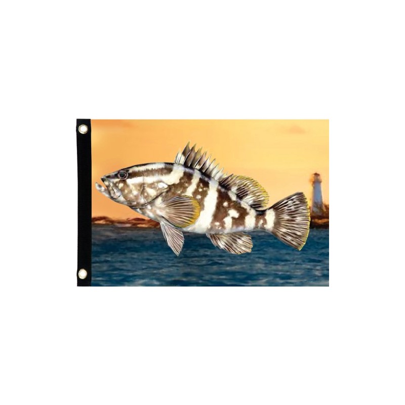 Premier Kites 55118 Seafarer Flag, Grouper, 12 by 17-Inch