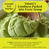 5.2oz Dried Avocado Leaves, Leaf Tea, Hojas De Aguacate Secas,