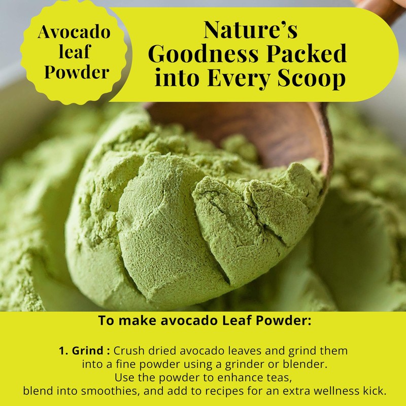 5.2oz Dried Avocado Leaves, Leaf Tea, Hojas De Aguacate Secas,
