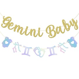 Firefairy Gemini Baby Banner, Pre-strung Gemini Baby Shower Party Decor, Horoscope Gemini Baby Birthday Banner, Zodiac Baby Shower Decorations, Gold Glitter