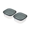Rakuchin Pack Storage Containers, Square Capacity, 9.1 fl oz (270