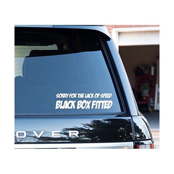 WaterShed Designs Sorry For The Speed Black Box Fitted Funny