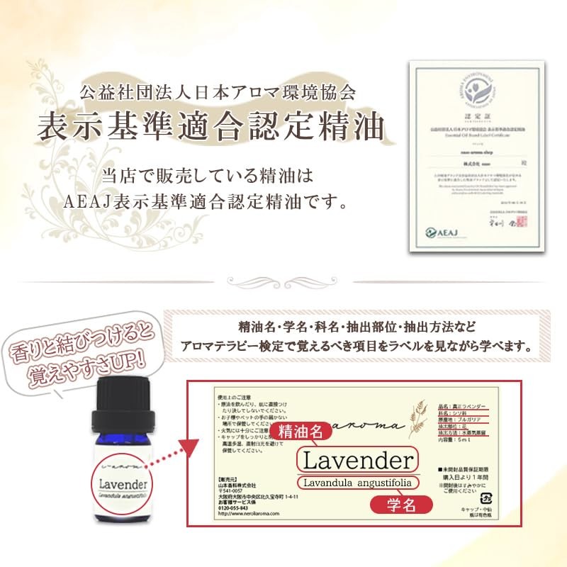 e-aroma Aromatherapy Test Grade 1 Learning While Using Essential Oils,