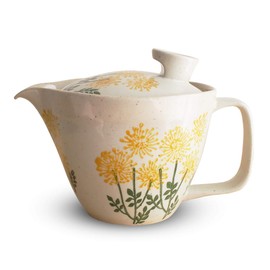 J-kitchens Shozan Kiln Teapot with Tea Strainer, 8.5 fl oz (240 ml), For 1 - 2 People, Hasamiyaki, Made in Japan, Wild Flowers, Yellow