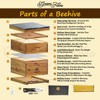 Hoover Hives 8 Frame Beehive Kit - Dipped in 100%
