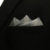 S1 SHLAX&WING Check Grey Men's Necktie 100% Silk, 12.6 x