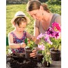 homenote Clear Nursery Pots for Plant,3/4/5 Inch Plant Pot for