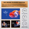 Ultra Fresh Sinking Goldfish Food, Color Enhancing, Balanced Diet, All