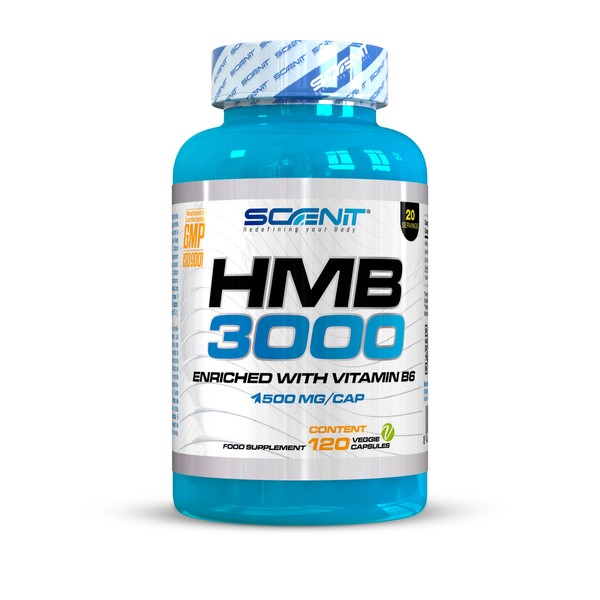 HMB 3000-3000 mg HMB Supplement Capsules with Vitamin B6 - HMB Capsules - HMB Pure - HMB Supplement - 120 Vegan Capsules