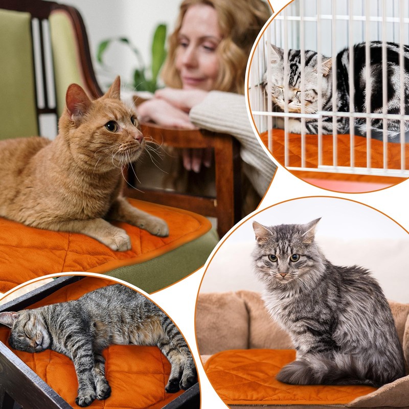Clysee 4 Pack Self Heating Cat Pad Self Warming Dog