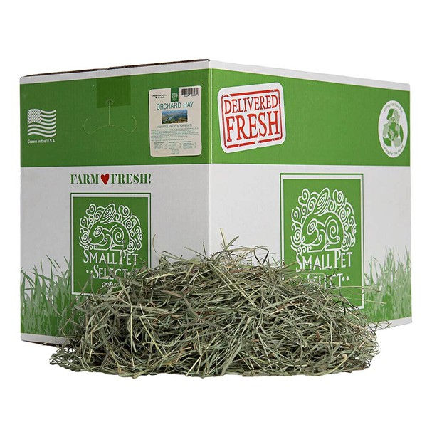 Small Pet Select Orchard Grass Hay Pet Food, 20 Lb.