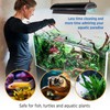 Magic Tank Rock, Fish Tank Rocks for Enhancing Water Clarity