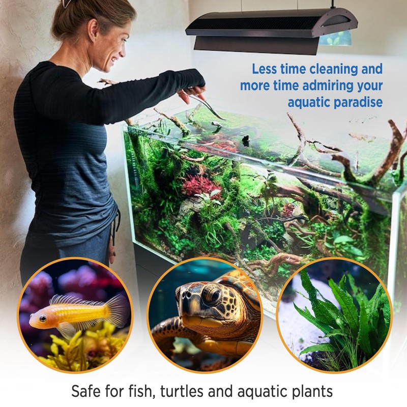 Magic Tank Rock, Fish Tank Rocks for Enhancing Water Clarity