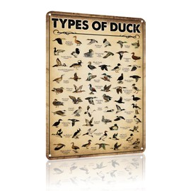 Type Of Duck Tin Sign Vintage Knowledge Duck Hunting Decorations For Home Kitchen Duck Wall Art 8 x 12 In (2512)