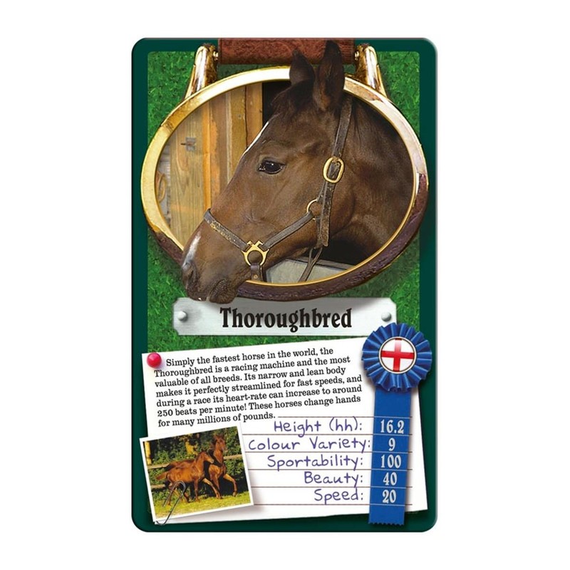 Horses & Ponies Top Trumps Card Game for 3 years