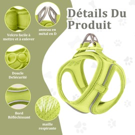 Qianruida Nylon Leash Set and Soft Mesh Harness Set, Comfortable and Breathable, Easy to Put on for Cats and Dogs, Small and Medium (Lemon XXS)