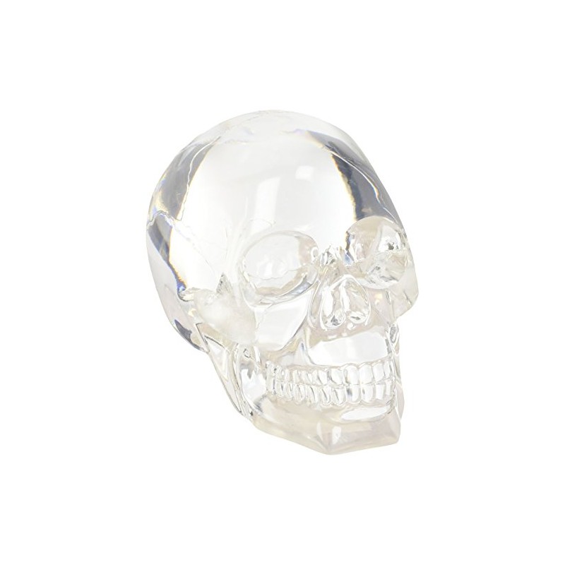 Clear Translucent Skull Collectible Figurine