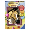 Ravensburger 29582 Painting by Numbers 8.5 x 12 cm Horse