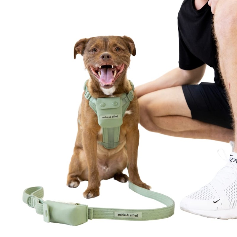 No Pull Adjustable Dog Harness - Water Resistant & Easy