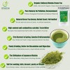 Lingtoolator ic Matcha Green Tea Powder - Culinary Grade -
