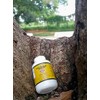 Citrato de Magnesio mejor absorción 500 mg suministro 180 días