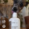 ION* Intelligence of Nature Gut Support For Pets - Liquid