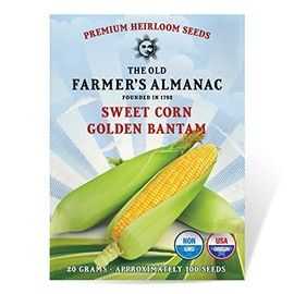 The Old Farmer's Almanac Heirloom Sweet Corn Seeds (Golden Bantam) - Approx 100 Seeds - Non-GMO, Open Pollinated, USA Origin
