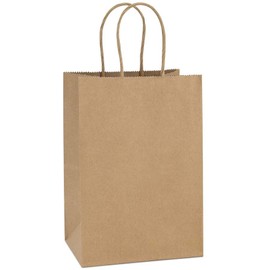 BagDream Kraft Paper Bags 100Pcs 5.25x3.75x8 Inches Small Paper Gift Bags with Handles Bulk, Paper Shopping Bags, Kraft Bags, Party Bags, Brown Bags