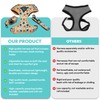 SUPER DOGGY Anti-Pull Dog Harness Set with Lead and Bag
