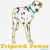 CafePress Tripawd Power Three Legged Great Dane Dog T Shirt