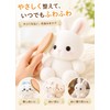 【Supervised by a Professional for Stuffed Toy Cleaning】 Stuffed Toy