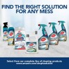 Simple Solution Stain and Odor Eliminator Spray for Dogs &