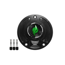 Accossato Kawasaki Ninja Zx-10R (1000cc) 2008