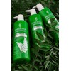 Vreeksha Curry Leaves Hair Shampoo