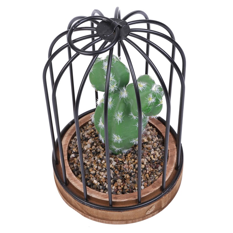 Mini Cactus Ornamental Plant, Birdcage Type, For Table Surroundings, Bookshelves,