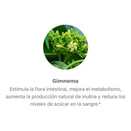 Diaten Gimnasio Suplemento Gymnema Cápsulas 1 Fr