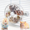 VCEPJH Rat Foraging Toy Interactive Slow Feeder with Transparent Rotating